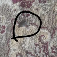 فرش ۱۲متری واسه خانه باغ یا خونه دوسه جاش سوخته|فرش|کاشان, الغدیر|دیوار