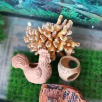 وسایل آکواریوم کامل به فروش میرسد