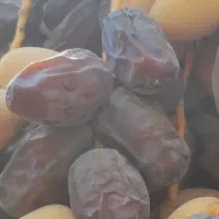 خرما کبکاب