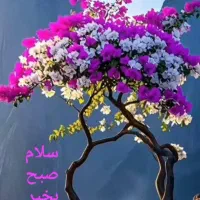 درمان قطعی قند خون  تضمینی