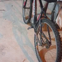 دوچرخه سواری|دوچرخه، اسکیت، اسکوتر|باشت, |دیوار