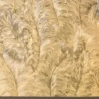 کیف کارت گمشده