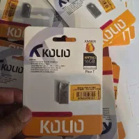 فلش ۱۶ گیگابایت با گارانتی مادام العمر