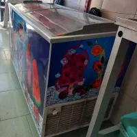 فروش فریزر بستنی و یخچال ایستاده 4درب سوپرمارکت|فروشگاه و مغازه|گنبد کاووس, |دیوار