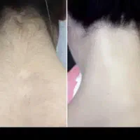 آف فول بادی 590