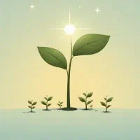 خدمات ساخت و ادیت عکس و ویدیو، تحویل ۲۴ ساعته