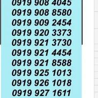 0919.2.45678.1|سیم‌کارت|پرند, فاز ۱|دیوار