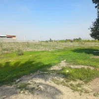 فروش زمین تجاری|فروش زمین و ملک کلنگی|رودان, |دیوار