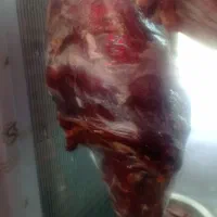 کارگر قصابی