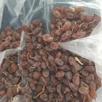 کشمش ناب تاکستان