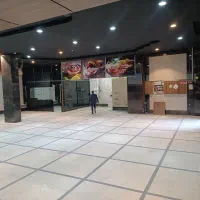 250 متر مغازه کفی تجاری/بر اصلی استاد معین /پاخور|اجارهٔ مغازه و غرفه|تهران, استاد معین|دیوار