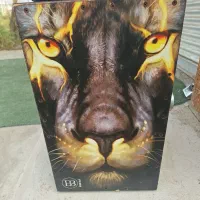 کاخن درجه ۱ در حد نو