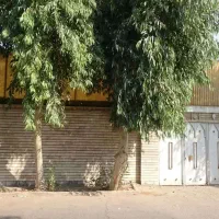 منزل ویلایی شمالی 250 مترمربع با 10متر بر