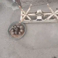 دوعدد،ترازو قدیمی ۲۰کیلویی،|فروشگاه و مغازه|اقبالیه, |دیوار