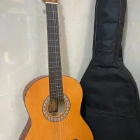 گیتار پارسی مدل m2