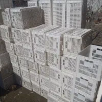 سبد ۲۰کیلوی پالیتی