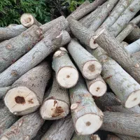 خریدانواع چوب به صورت نقد
