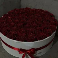 کاغذ ضد اب و دسته