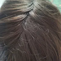 کلاه گیس|آرایشی، بهداشتی، درمانی|رشت, کاکتوس|دیوار