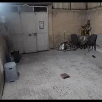 زمین و خانه ویلایی کلنگی ۱۳۰ متری جنوبی ،شمالی ساز|فروش خانه و ویلا|قرچک, شهرک طلائیه|دیوار