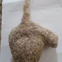 لانه دکوری قناری