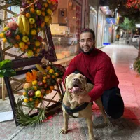 پیتبول سگ نگهبان|سگ|گنبد کاووس, |دیوار