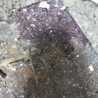 رنگ|ابزارآلات|رودسر, |دیوار