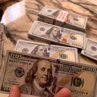 دلار سینمایی|کلکسیون سکه، تمبر، اسکناس|اصفهان, باغ نگاره|دیوار