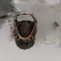 فیروزه|کلکسیون اشیاء عتیقه|رشت, کوی مهر|دیوار