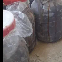 خرمای مضافتی و کلگی گالونی