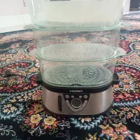 بخار پز