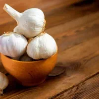 خریدار سیر ضایعات|خدمات باغبانی و درختکاری|بهار, |دیوار