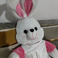 یک عددخرگوش بزرگ زیباتمیزدرحدنو|اسباب‌‌بازی|قدس, شهر‌قدس|دیوار