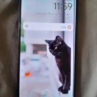 گوشی Redmi Note 13|موبایل|تهران, صادقیه|دیوار