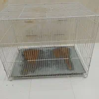 قفس پرنده بزرگ