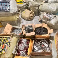 ابزار دستی ابزارآلات ابزار کیلویی