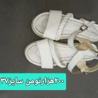 کتونی و صندل سایز۳۷|کیف، کفش، کمربند|آمل, |دیوار