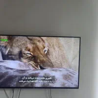 ال ای دی 48|تلویزیون و پروژکتور|رشت, لاکانی|دیوار