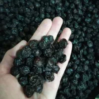 کشته آلبالوفرنگی درشت وبامزه