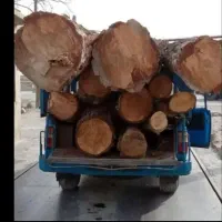 خریدچوب وهرس درختان