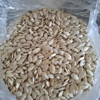 تخمه کدو|خوردنی و آشامیدنی|بهار, |دیوار