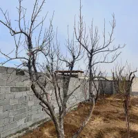 باغچه برق داخل ملک (اطراف همه ساختن)