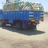 خارشتر مخصوص گوسفند بز شتر گاو اسب|لوازم جانبی حیوانات|اصفهان, باغ نگاره|دیوار