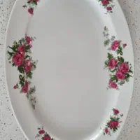 دیس سایز بزرگ گل سرخی