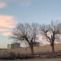 مشارکت-در-ساخت