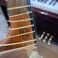 تار پنجه طاووسی|سازهای سنتی|دوگنبدان, |دیوار