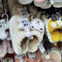 انواع دمپایی پولیشی ، ابری|کیف، کفش، کمربند|صدرا-فارس, فاز ۱|دیوار