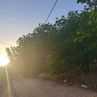 سوئیت اجاره