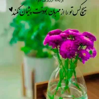 گمشده ها