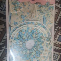 دیزی و سرویس دم کنی